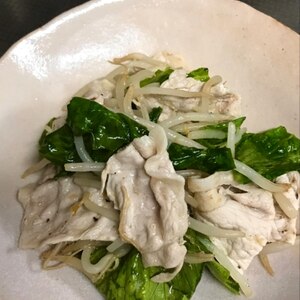 キャベツとモヤシと豚肉のシャキシャキ野菜肉炒め